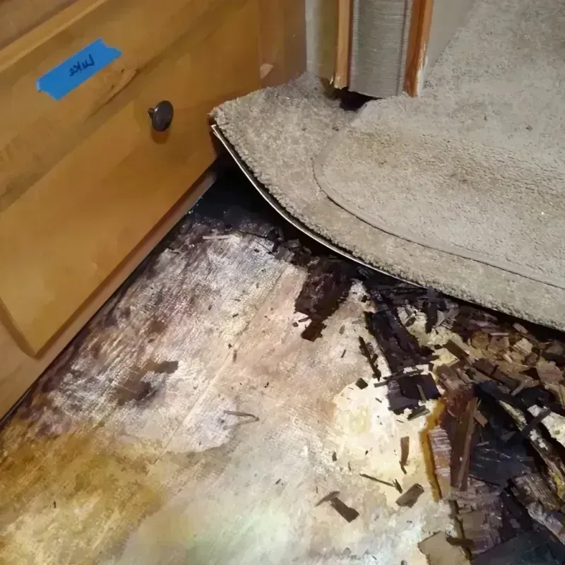 Wood Floor Water Damage in Calhoun County, MS